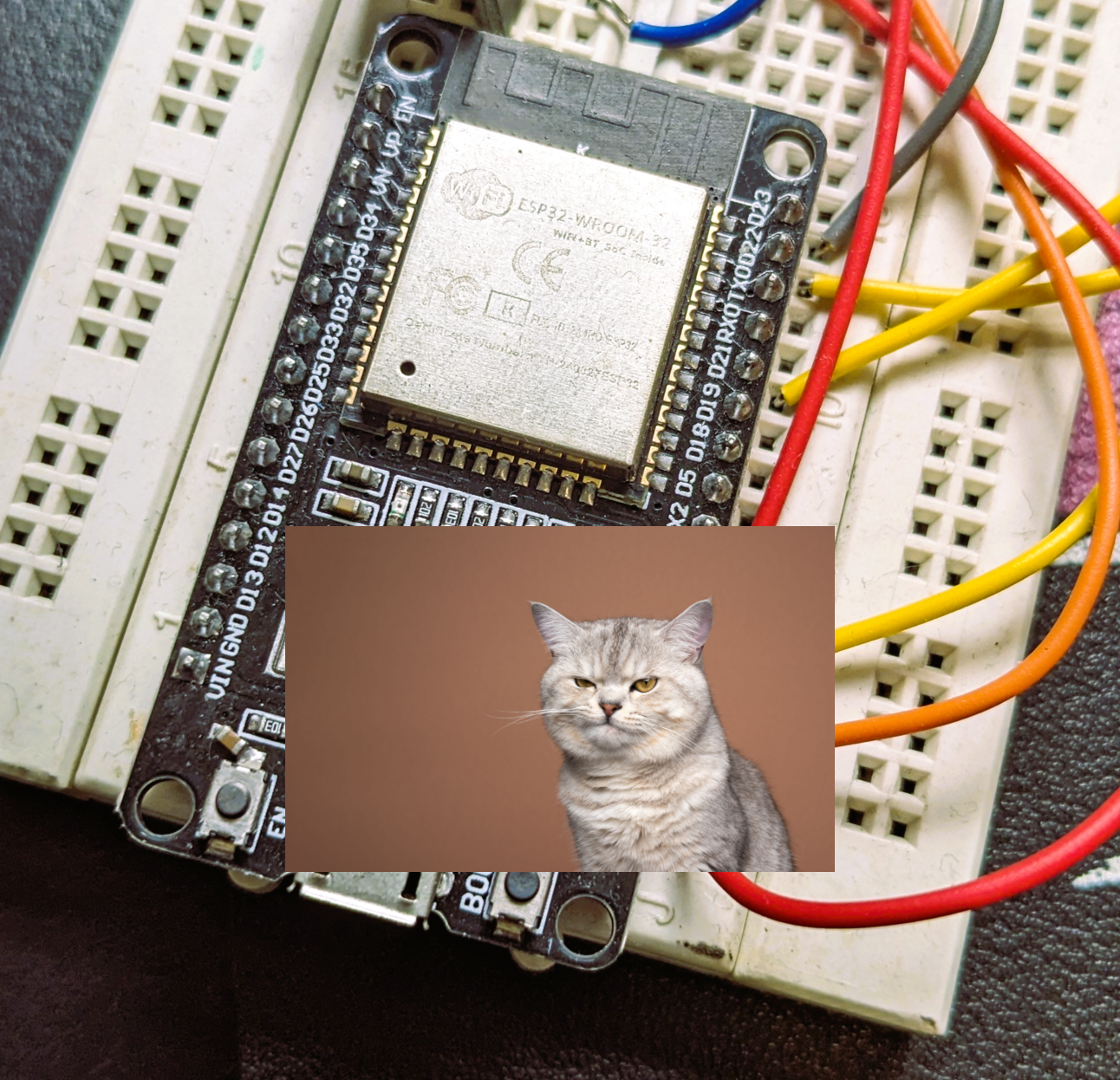 Breadboard pains